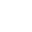 shield (2)