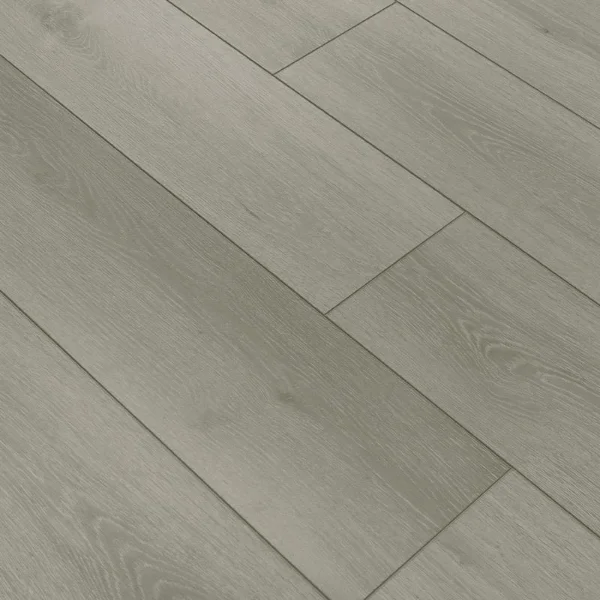 Audacity Lunar Oak - Image 3