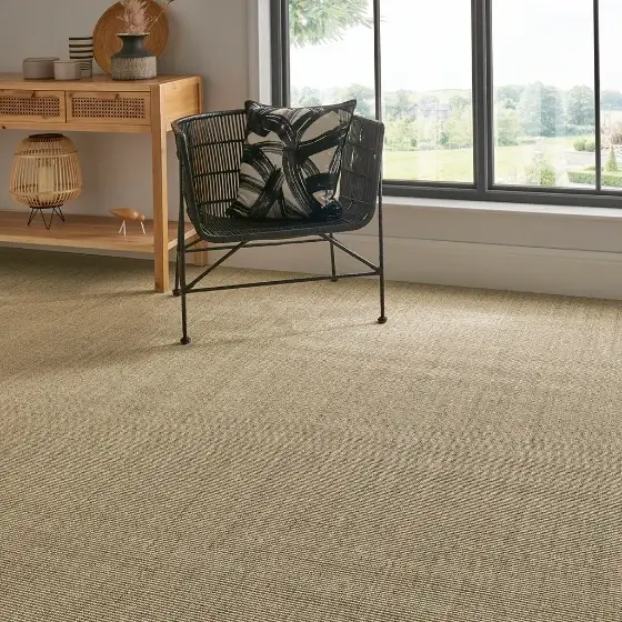 Sisal Carpet