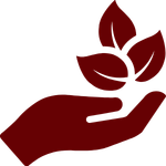 Eco-friendly Materials